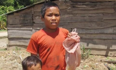 Tuổi thơ bị đánh cắp  - Bài 6: Những cánh chim rừng ngược gió