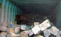 Cần hình phạt nghiêm để bảo vệ gỗ quý