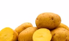 Tác dụng chữa bệnh của khoai tây