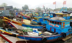 Kinh nghiệm tránh bão của ngư dân Sài Gòn