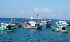 Tàu thuyền của ngư dân Lý Sơn ra khơi đánh bắt hải sản. 