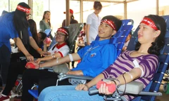 Sinh viên ĐHTN hiến máu Chủ Nhật Đỏ.