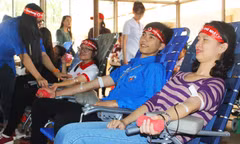 Sinh viên ĐHTN hiến máu Chủ Nhật Đỏ.