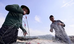 Đã chuyển 3.000 tỷ đồng hỗ trợ ngư dân vụ Formosa