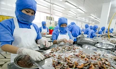 Đặt chữ Tâm lên hàng đầu