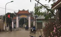 Thôn Hoành đã trở lại nhịp sống bình yên. Sắc xuân đã tràn về nơi đây.