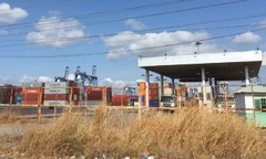 Lối ra vào một cụm cảng cỏ mọc ngang hông.