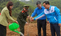 Tuổi trẻ Hòa Bình phát động Tết trồng cây