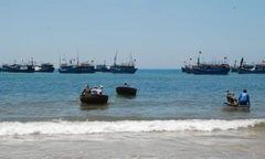 Làng chài Hòa Thanh, Tam Quan lại ra khơi. Ảnh: XB