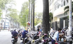 Cử tri TPHCM nói có 'bảo kê, chống lưng' trong quản lý vỉa hè