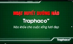 Hoạt huyết dưỡng não - thuốc bổ khôi phục trí nhớ