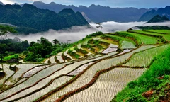 Vẻ đẹp ruộng bậc thang xứ Thanh