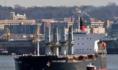 Vùng biển Vinalines Queen chìm có 'thủy quái'?