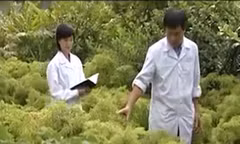 Bất cập trong khai thác nguồn dược liệu