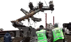 Chuyên gia Hà Lan trở lại hiện trường vụ tai nạn máy bay MH17