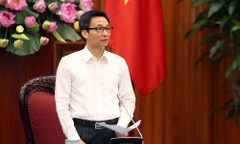 Phó Thủ tướng Vũ Đức Đam (ảnh VGP)