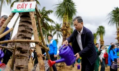 Hàng trăm người đội mưa tham gia Tết trồng cây xuân Ất Tỵ 2025 ven biển Đà Nẵng