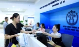 Hà Nội yêu cầu dừng việc thu nộp hồ sơ giấy liên quan đến thủ tục sổ đỏ 