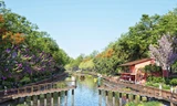 Phối cảnh Công viên sông Tô Lịch lấy cảm hứng từ cây đa, bến nước, sân đình