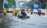 Hà Nội không bị úng ngập, 26 cây xanh gãy đổ do bão số 10