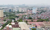 Hà Nội chuyển đổi gần 30.000 m2 đất nông nghiệp tại Vĩnh Hưng thành dự án nhà ở