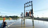 Điện lực Thái Nguyên khắc phục hậu quả mưa lũ