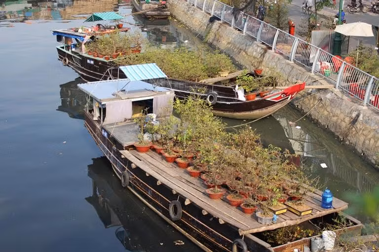 Nằm ven kênh Tàu Hủ, chợ hoa bến Bình Đông được xem là chợ hoa trên sông lâu đời nhất Sài Gòn. Đây là nơi tập kết của phần lớn thuyền hoa ở các tỉnh miền Tây. 