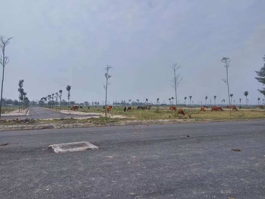 Dự án bỏ hoang tại huyện Mê Linh. Ảnh minh họa