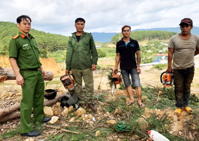 3 đối tượng cưa hạ thông bị bắt quả tang cùng cưa máy tang vật