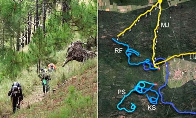 người bị lạc khi leo núi, đi rừng thường đi thành vòng tròn