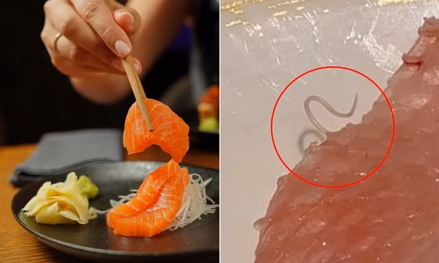 Thực khách phát hiện vật thể giống ký sinh trùng trong món cá sống