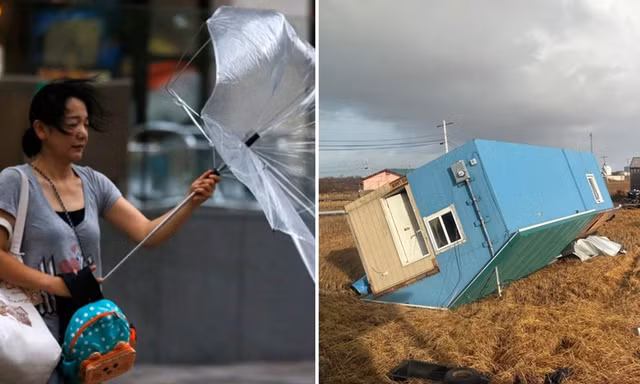 Bão Hạ Long suy yếu sau khi rời Nhật Bản nhưng lại sang tận Mỹ gây thiệt hại