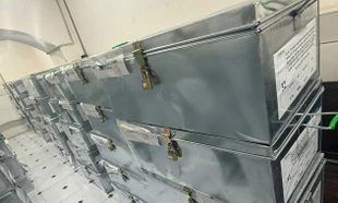 Những thùng đựng hồ sơ vụ án.