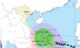 Bão số 15 diễn biến bất ngờ, mạnh lên 4 cấp