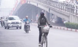 7 tỉnh, thành miền Bắc ô nhiễm không khí hôm nay