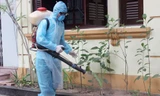 Một tháng ghi nhận 21.640 trường hợp mắc sốt xuất huyết, 6 ca tử vong