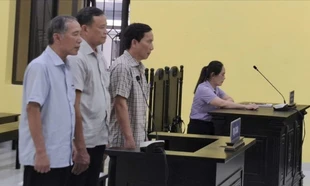 Xét xử vụ án gây thất thoát tài sản xảy ra tại Công ty CP đầu tư và phát triển nhà Cà Mau 