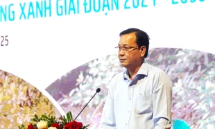 Cà Mau dựng 'lá chắn xanh' từ rừng ngập mặn để ứng phó sạt lở