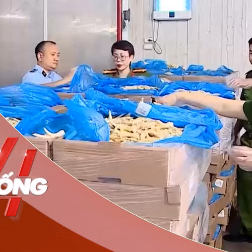 NHỊP SỐNG 24: Cận cảnh 260 tấn chân gà hết hạn, bốc mùi trong kho hàng của đường dây buôn lậu