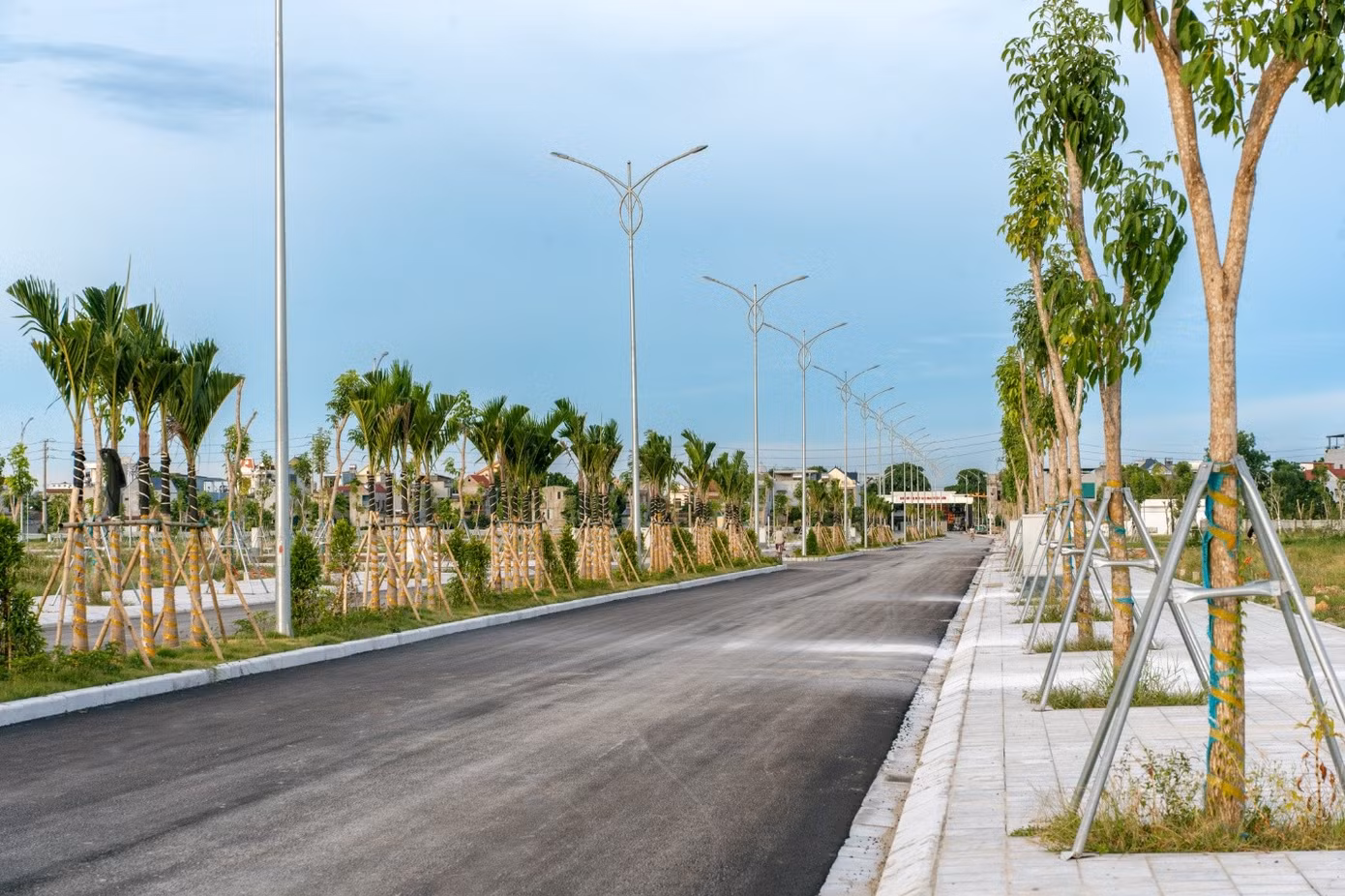 hinh1-khuon-vien-ben-trong-sao-mai-central-point-sao-mai-minh-son.jpg