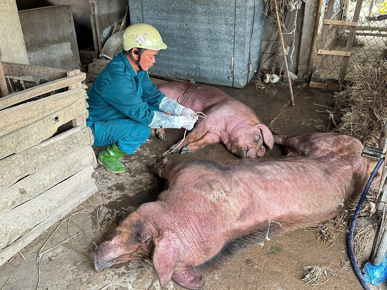 Vắc xin chưa được tiêm phòng rộng rãi khiến dịch bệnh vẫn lan rộng. Ảnh: Ngọc Tú. a51af6da1de3abbdf2f2.jpg