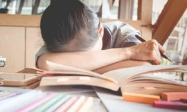 Ảnh minh họa: Internet