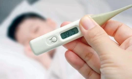 Ảnh minh họa: Internet