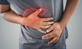 Ảnh minh họa: Internet