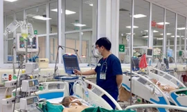 Ảnh minh họa: Internet