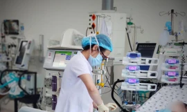 Ảnh minh họa: Internet