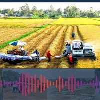 Tăng hạn mức nhận chuyển nhượng đất nông nghiệp theo quy định mới