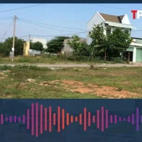 Có thể xác định đất sử dụng ổn định khi cấp sổ đỏ thông qua hàng xóm không?