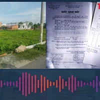 Những trường hợp đất có giấy tờ trước 15/10/1993 được cấp sổ đỏ theo Luật mới 