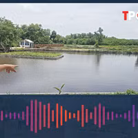 Các khoản phí chuyển đất ao lên thổ cư mới nhất 